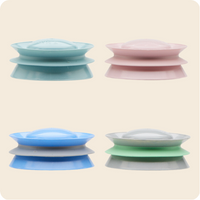 Replacement Platform